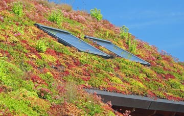 Ferniegair living roof systems